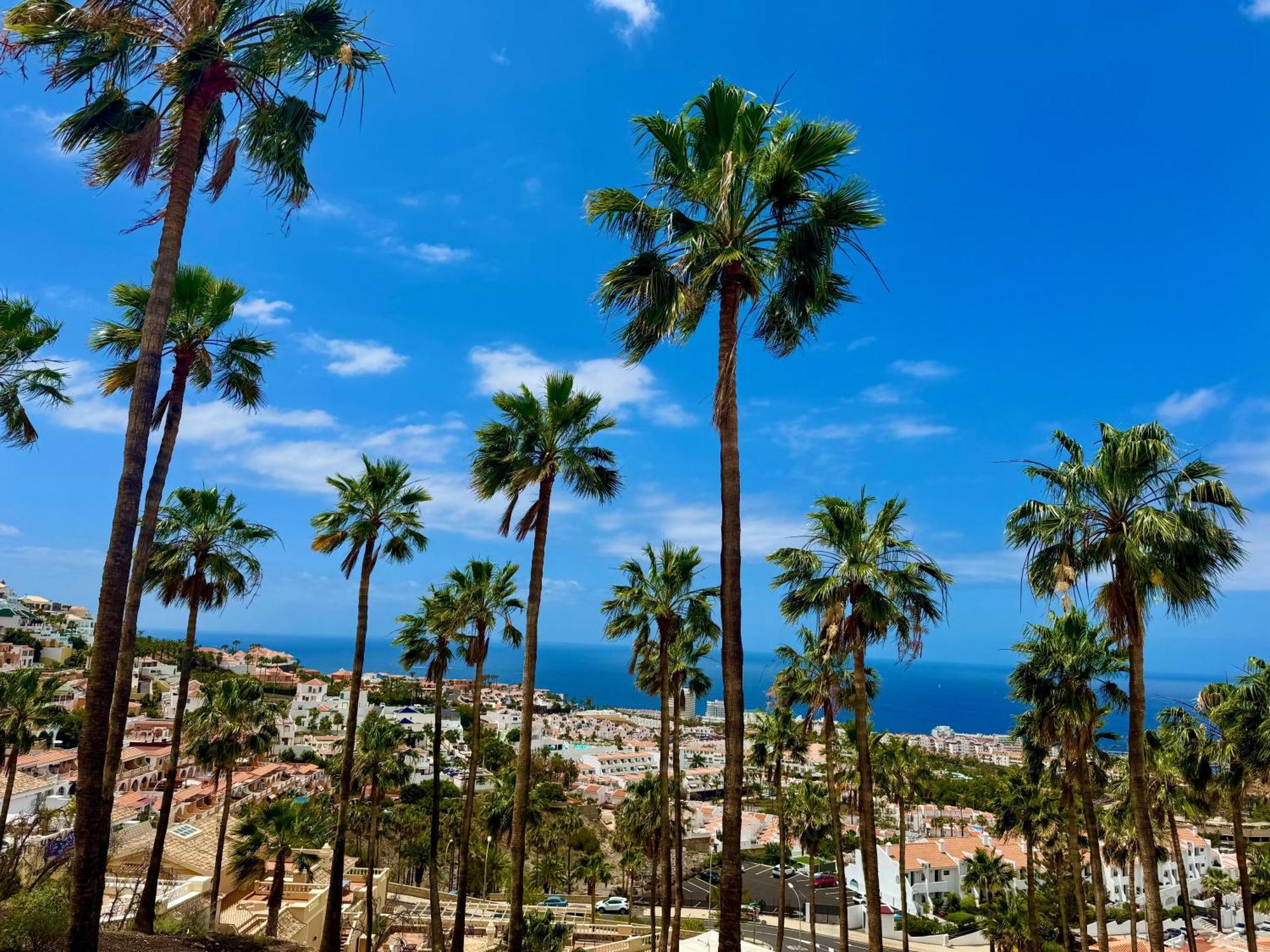 Stunning Apartments With Pool Tenerife Costa Adeje  Kültér fotó